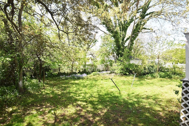 view of yard