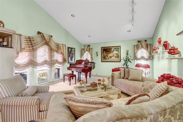 living room featuring track lighting and lofted ceiling