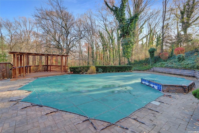 view of swimming pool featuring a patio