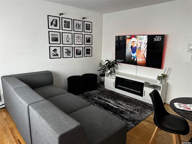 living room featuring hardwood / wood-style flooring