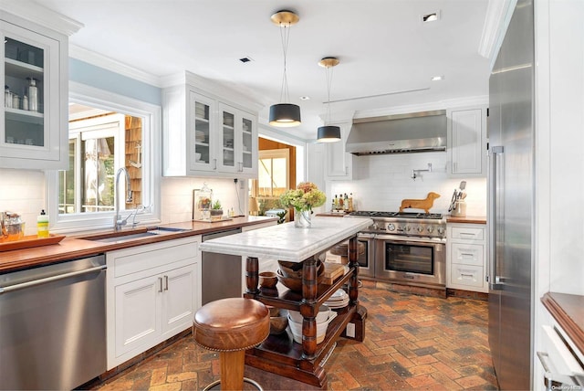 kitchen with a wealth of natural light, high quality appliances, decorative backsplash, and ventilation hood