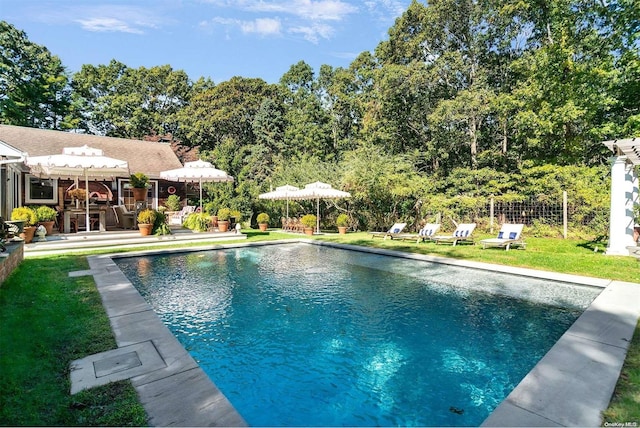 view of pool featuring a patio area and a yard