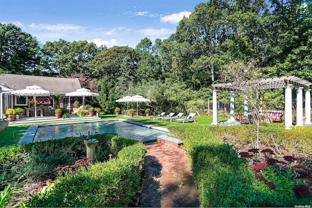 view of pool featuring a pergola and a patio