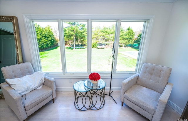 sitting room featuring light hardwood / wood-style floors and plenty of natural light