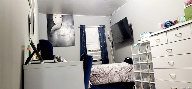 607 Ashford St, Brooklyn, NY 11207 - view of bedroom
