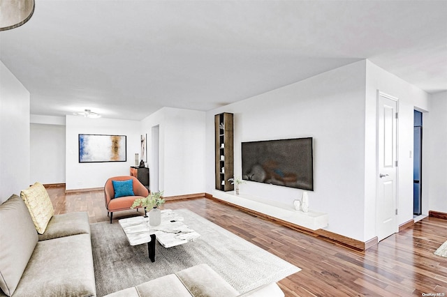 living room with hardwood / wood-style floors