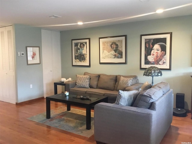 living room featuring wood-type flooring