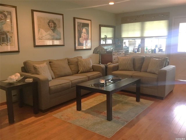 living room featuring light wood-type flooring