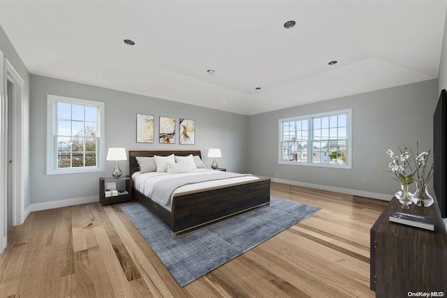 bedroom featuring a tray ceiling