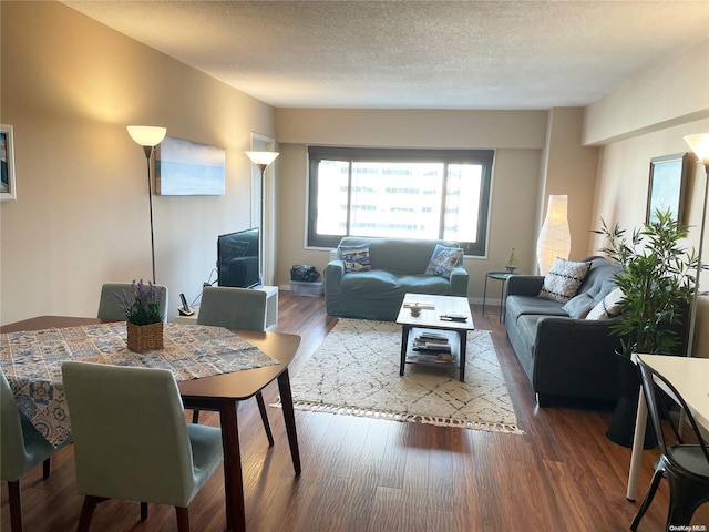 living room featuring hardwood / wood-style floors and a textured ceiling