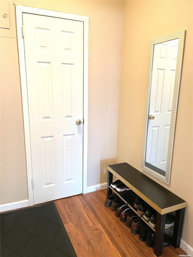 mudroom featuring hardwood / wood-style flooring