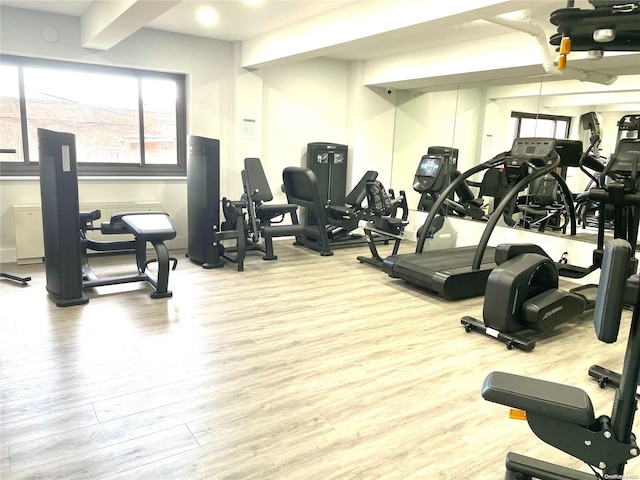 gym featuring light hardwood / wood-style flooring