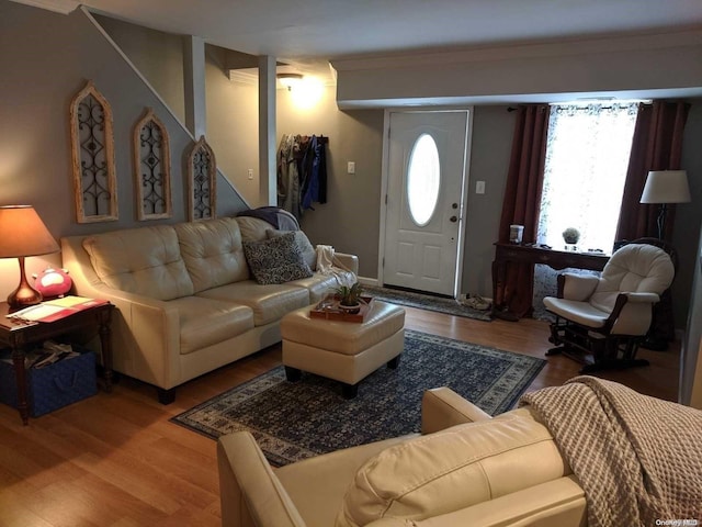 living room with wood-type flooring and crown molding