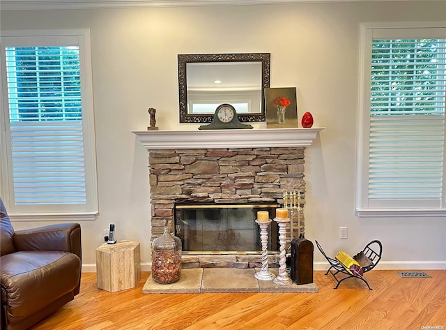 details featuring hardwood / wood-style flooring, crown molding, and a fireplace