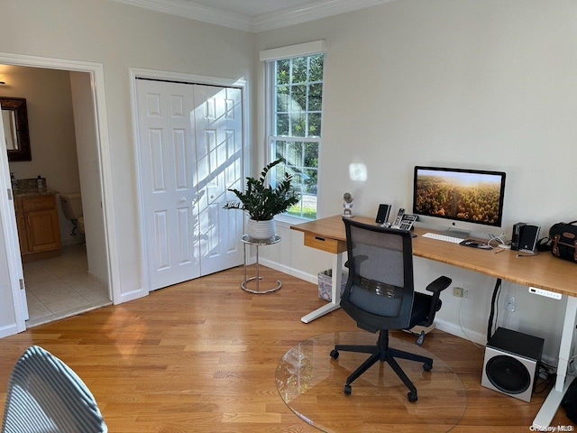 home office featuring light hardwood / wood-style floors and ornamental molding