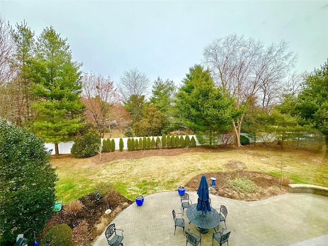 view of yard featuring a patio area