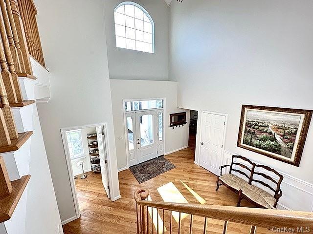 entrance foyer with light hardwood / wood-style flooring, a towering ceiling, and a healthy amount of sunlight