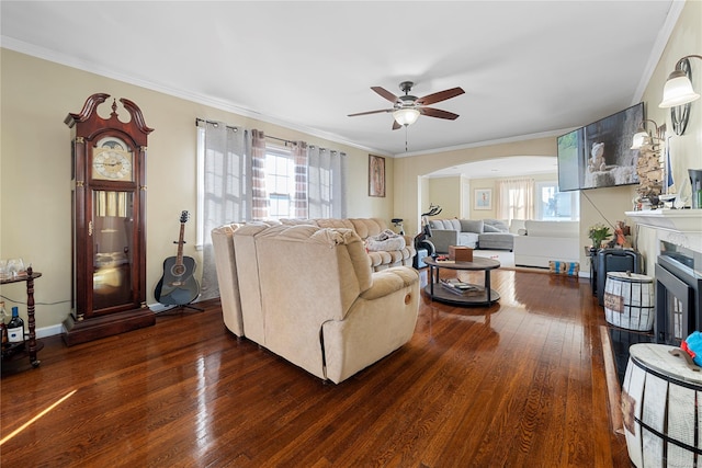 living room featuring a fireplace, plenty of natural light, and dark hardwood / wood-style floors