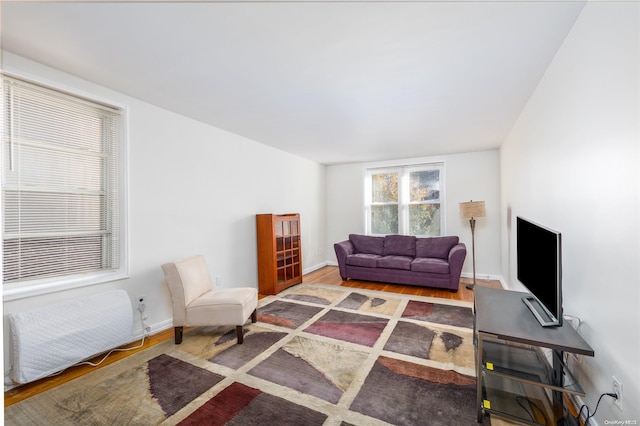 living room featuring wood-type flooring