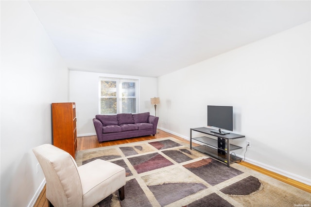 living room featuring hardwood / wood-style floors