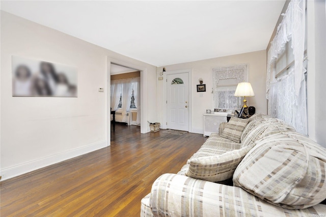 living room with dark wood-type flooring