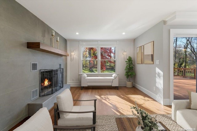 living room featuring light wood-type flooring