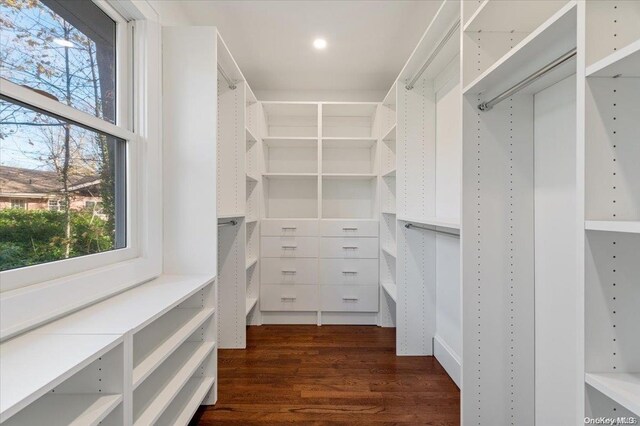 walk in closet featuring dark hardwood / wood-style flooring