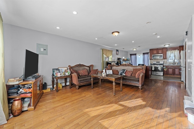 living room featuring light hardwood / wood-style flooring