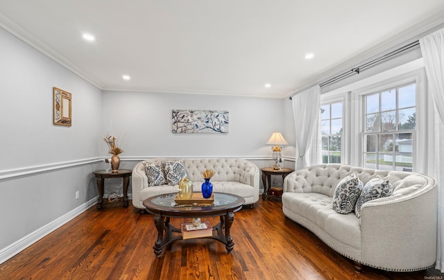 living room featuring dark hardwood / wood-style floors and crown molding