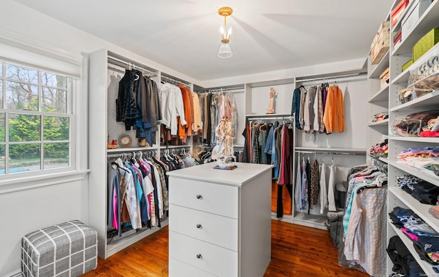 walk in closet featuring wood-type flooring