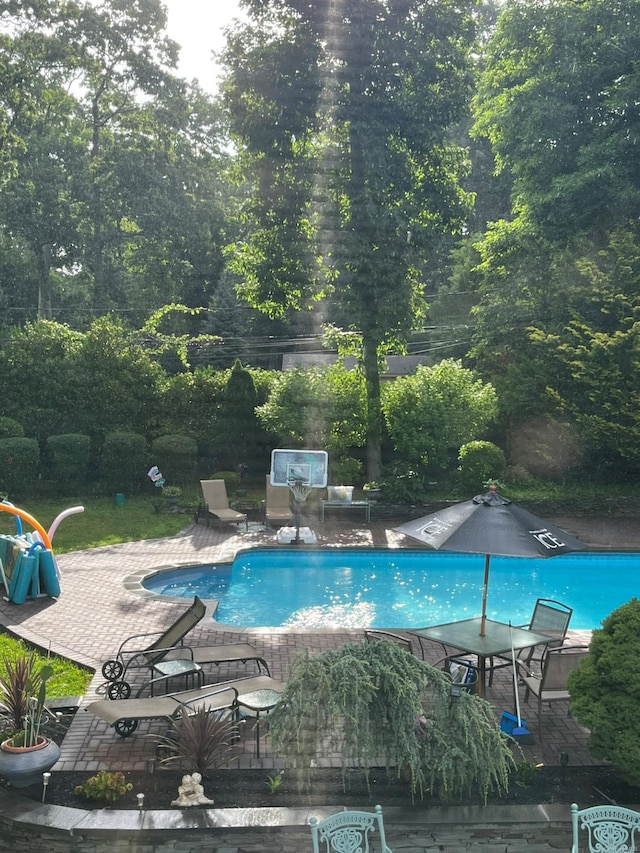 view of pool featuring a patio