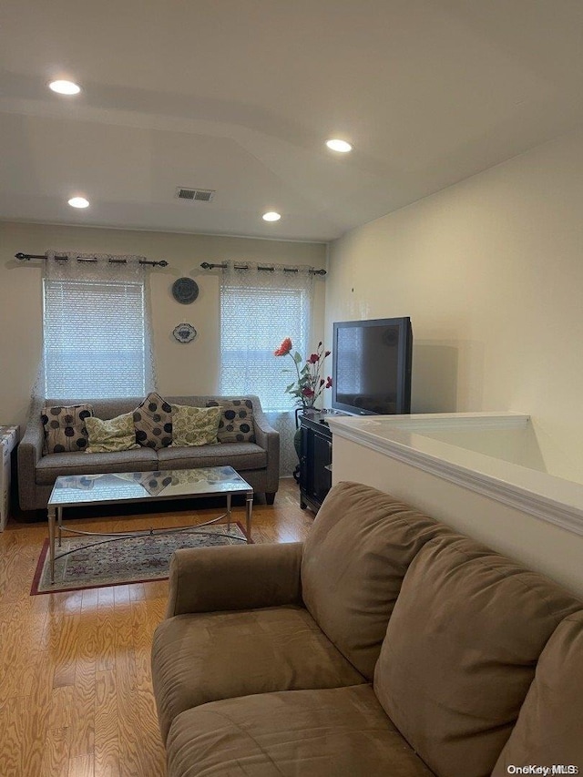 living room with light hardwood / wood-style floors and a healthy amount of sunlight