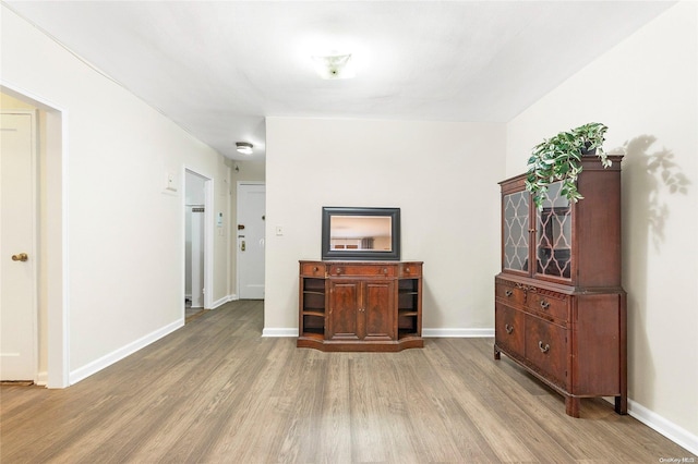 interior space featuring wood-type flooring