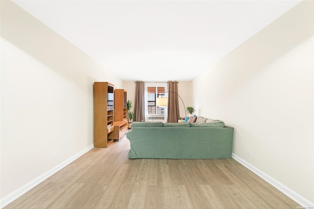 living room featuring light hardwood / wood-style floors