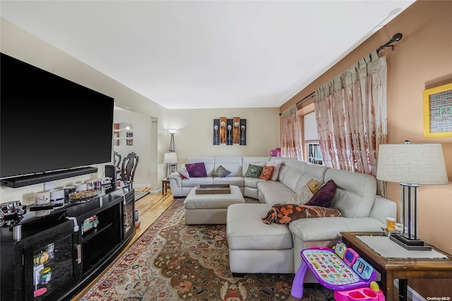 living room with wood-type flooring