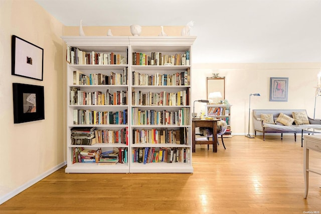 living area featuring light hardwood / wood-style flooring