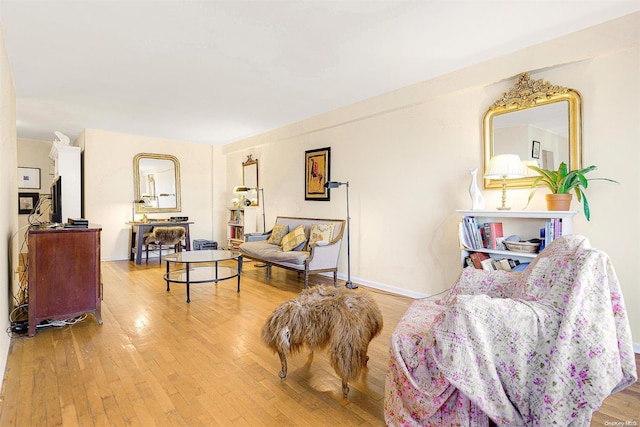 living room featuring wood-type flooring