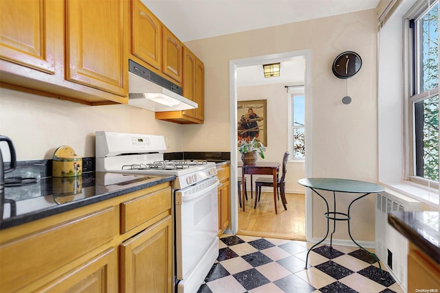 kitchen featuring dark hardwood / wood-style flooring, radiator heating unit, and white gas range oven