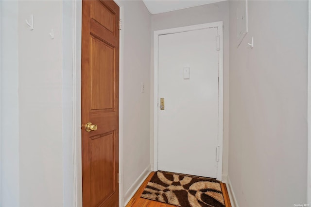 doorway to outside featuring wood-type flooring