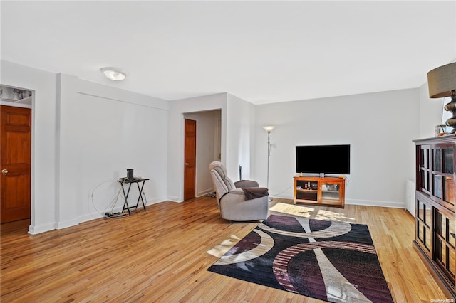 living room featuring light wood-type flooring