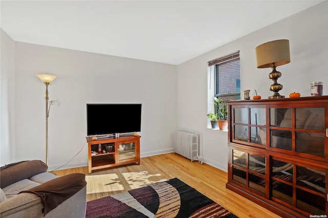 living room with radiator and hardwood / wood-style flooring