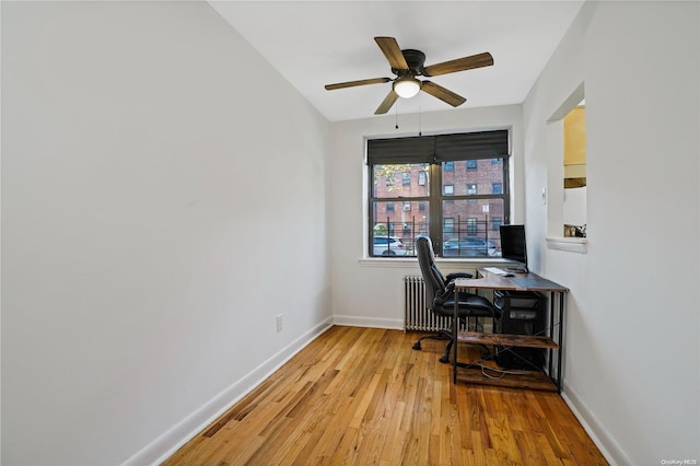 office area featuring radiator, ceiling fan, and light wood-type flooring