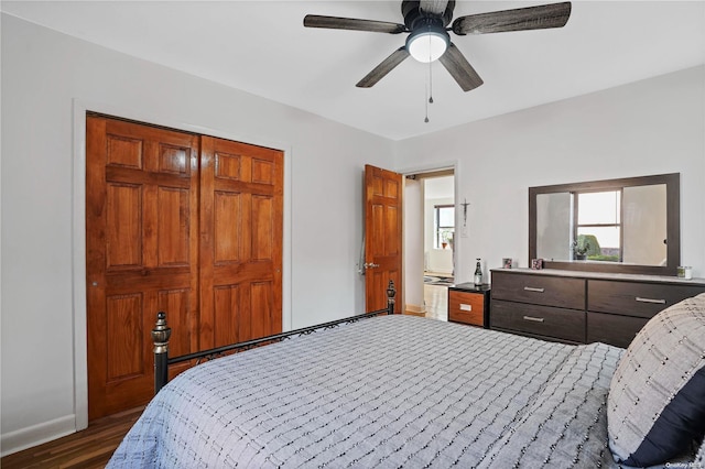 bedroom featuring dark hardwood / wood-style floors and ceiling fan