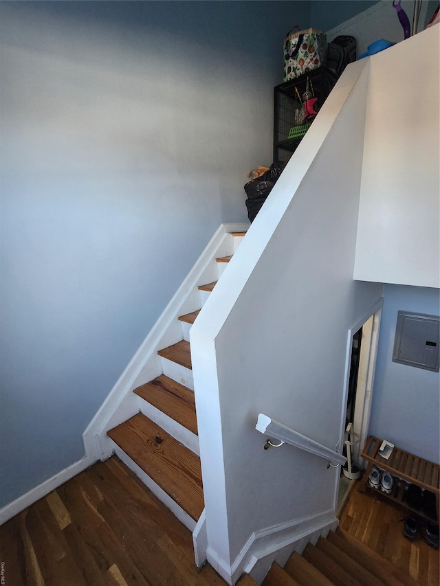 staircase with hardwood / wood-style floors