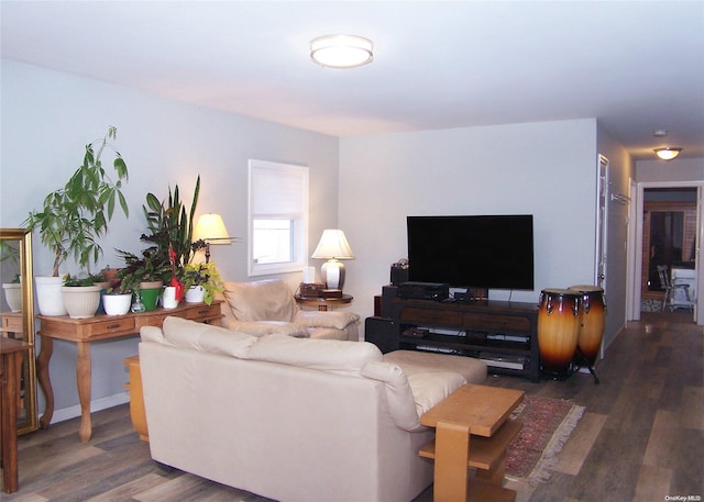 living room with dark hardwood / wood-style floors