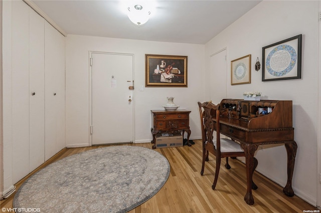 entrance foyer featuring light wood-type flooring