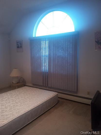 bedroom with lofted ceiling