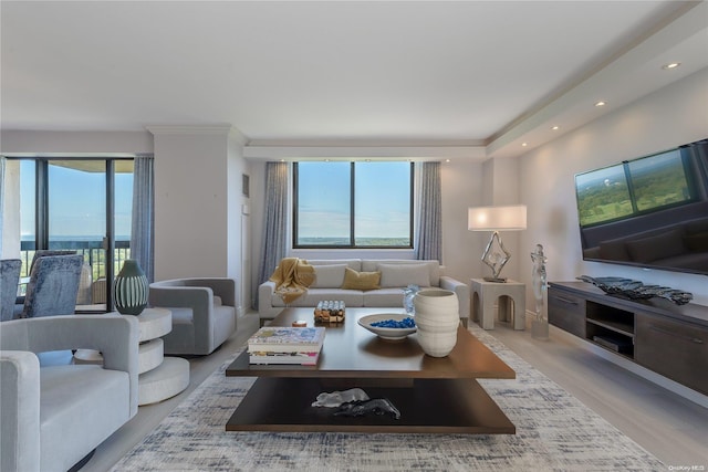 living room featuring a wealth of natural light and light hardwood / wood-style floors