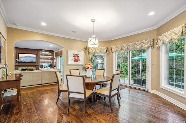 dining area featuring dark hardwood / wood-style flooring, a healthy amount of sunlight, and ornamental molding