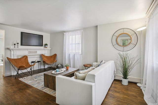 living room with dark hardwood / wood-style flooring